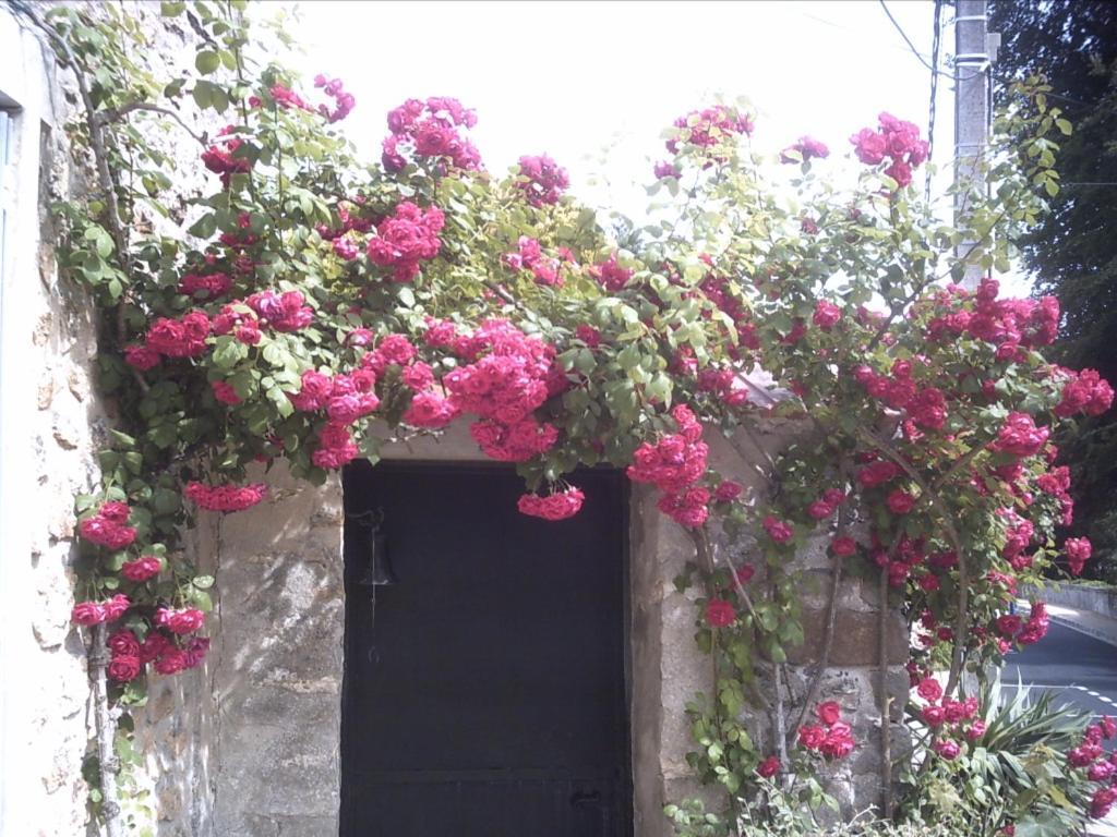 Les Maharanis Villa Moisenay ภายนอก รูปภาพ